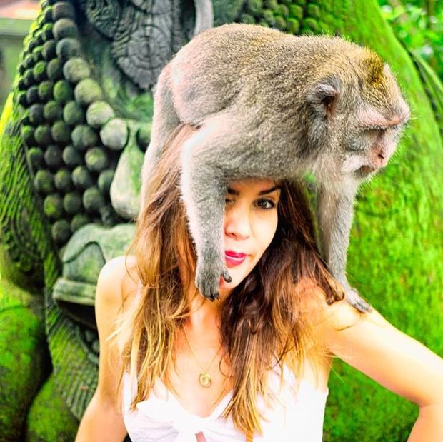 A macaque climbing my head in Sacred Monkey Forest