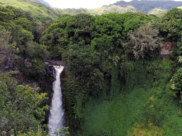 Impressive falls can be found on the Big Island.
