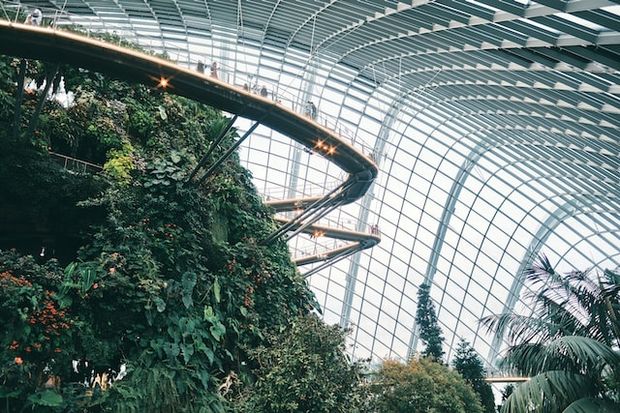 Inside Flower Dome